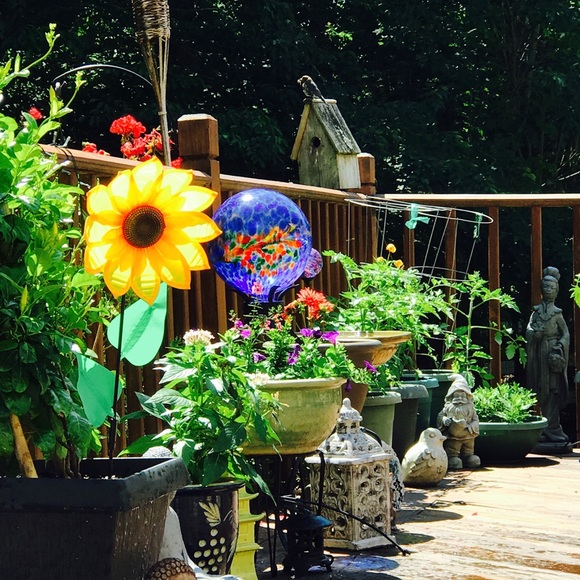 Meet your Posher, Nancy - Picture 6 of 8